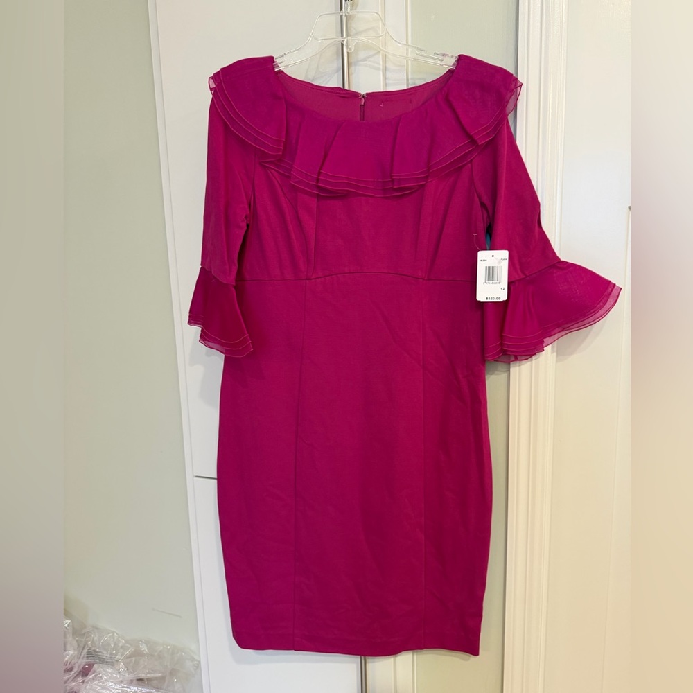 Nue by Shani Pink Ruffle Dress